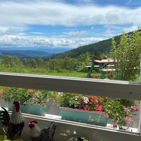 Auberge De L'Etang Du Devin ลาปูตรัว ภายนอก รูปภาพ