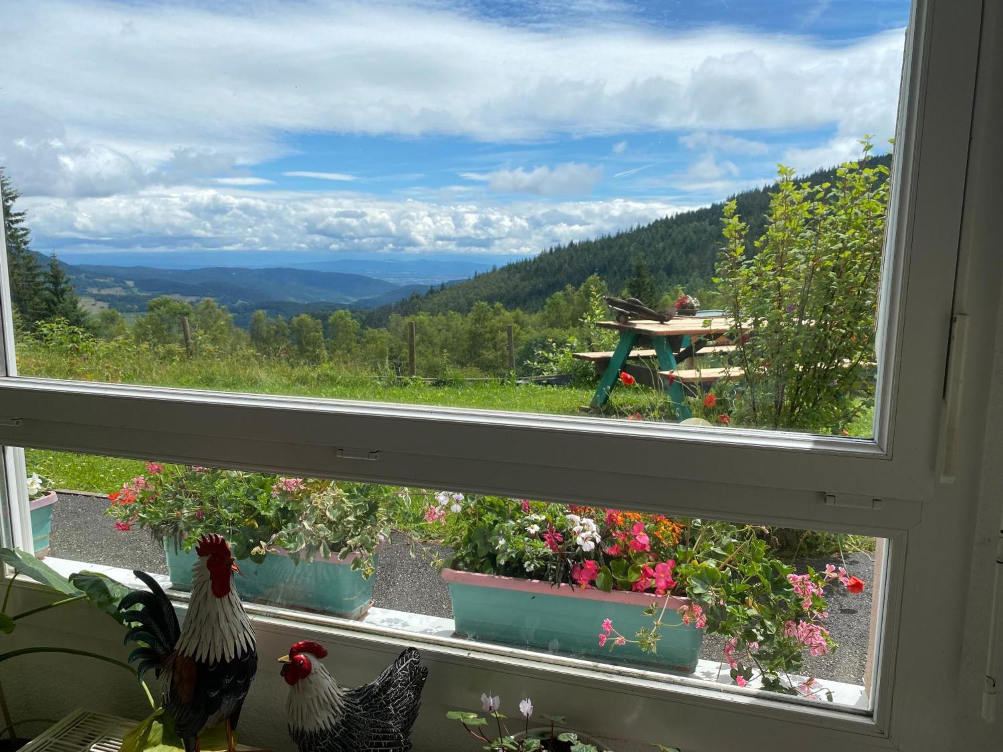 Auberge De L'Etang Du Devin ลาปูตรัว ภายนอก รูปภาพ