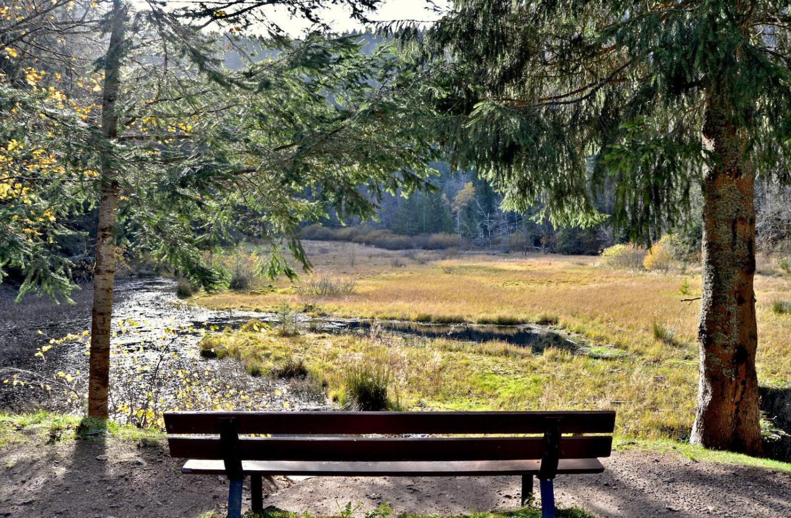 Auberge De L'Etang Du Devin ลาปูตรัว ภายนอก รูปภาพ